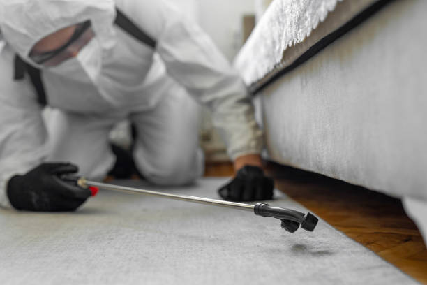 Professional Termite Control technician working in Sands Point, NY