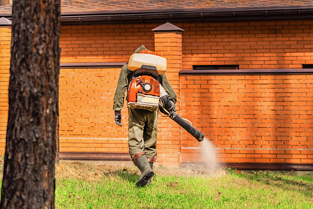 Trusted Emergency Pest Control service in Sands Point, NY - Nex Pest Control